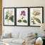 Antique Botanical Collection-369162312