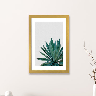 " Agave Cactus "