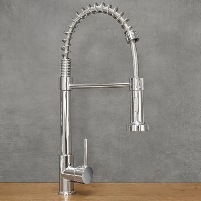 Belfry Kitchen Kitchen Faucet