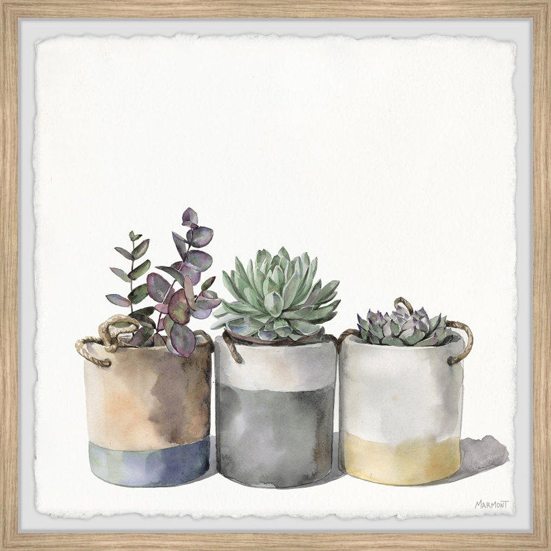 Cacti Collection - Single Picture Frame Painting, 30cm H x 30cm W x 3.81cm D