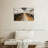 Barn Cows-658557052