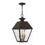 Lanterne suspendue d'extérieur 19 po à 3 ampoules Howells-527803085