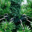 Victorian Artificial Pine Christmas Tree-90544853