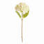 TIGES HYDRANGEA 18 po, ENSEMBLE DE 6-675795763