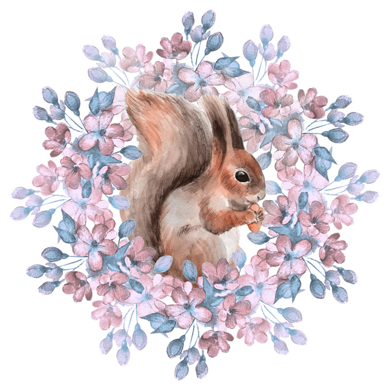Squirrel And Flowers by OGri - Wrapped Canvas Print, 91cm H x 91cm W x 3.8cm D