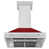 Satin Stainless Steel/Red Gloss