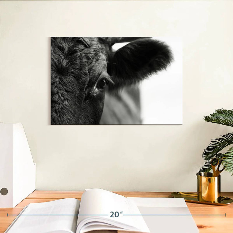 Vache aux yeux noirs Brampt, H 8 po x l 12 po