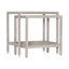 Albion Solid Wood Nesting End Table
