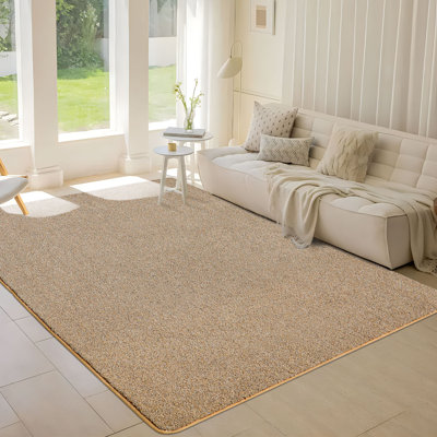 Area Rugs Washable Indoor Door Mat Non-slip Dirt Trapper Doormat Absorbent Welcome Mat for Front Door and Covered Outdoor Areas