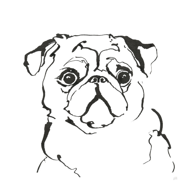 «Line Dog Pug I» par Chris Paschke, reproduction d'art sur toile tendue, H 20 po x l 20 po