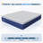 Avenco 14'' Medium Gel Memory Foam Hybrid Mattress-1742156131