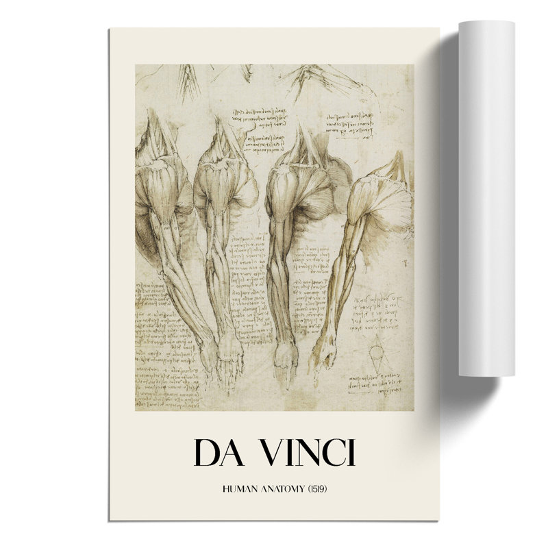 Human Anatomy Vol.8 by Leonardo Da Vinci - No Frame Print, 30cm H x 21cm W x 0.1cm D