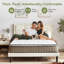 14'' Medium Plush Hybrid Mattress With Leaf Pattern Top – Gel Memory Foam & Pocket Coils-1847863618