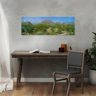 «Ocotillo Plants In A Park», parc national de Big Bend, Texas, États-Unis, cactus contemporain abstrait, paysage de montagne, art