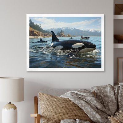 Noir et blanc, animaux marins, majestueux orques - reproductions encadrées d'animaux marins