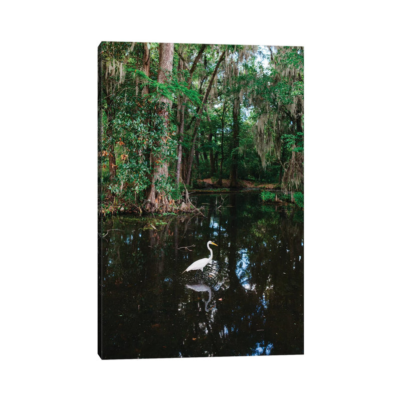 Charleston's Magnolia Plantation VI by Bethany Young - Print on Canvas, 101.6cm H x 66.04cm W x 1.91cm D, Wrapped Canvas