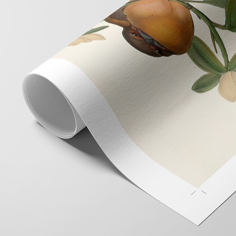 ElegantTrogonsVIII - Impression sur toile seulement - NON-CADRE, H 48 po x l 32 po