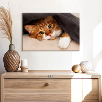 Crowle Cozy Cat