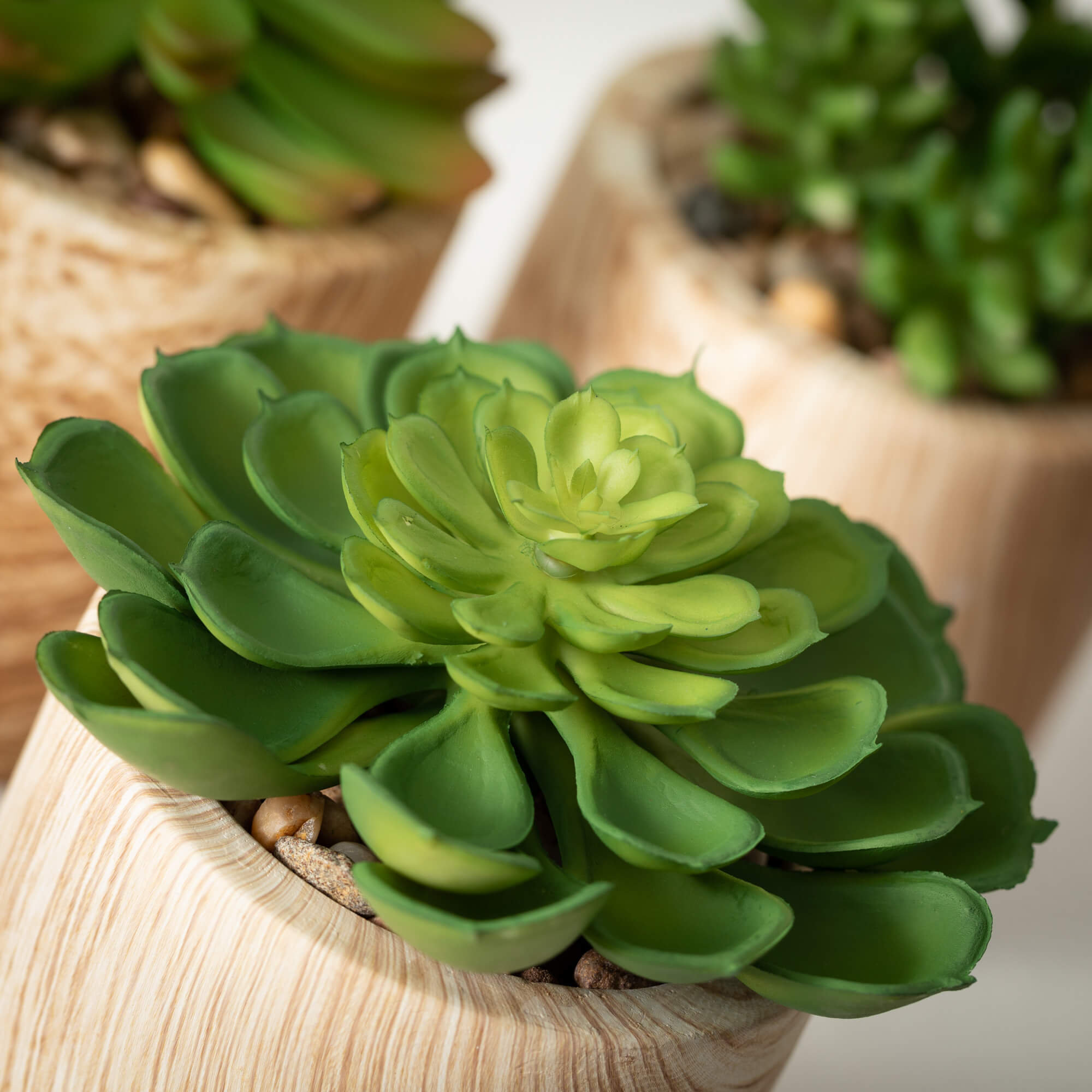 Arteen Faux Succulent in Ceramic Pot
