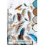 Performance Cotton Washable Indoor / Outdoor Rug-614249296