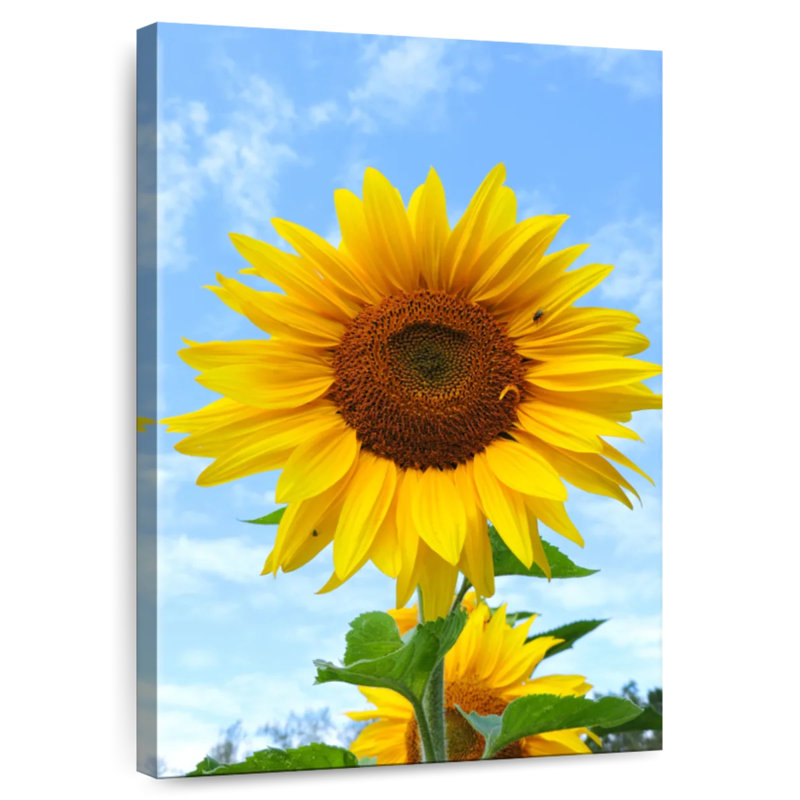 Harnek tournesol en fleurs, H 39 po x l 26 po