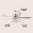 Chenut 48'' Ceiling Fan with Light Kit