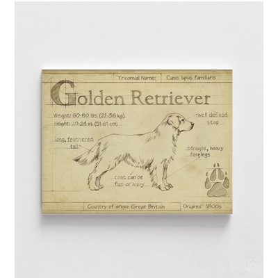 Reproduction d'affiche Alay Golden Retriever, encadré de chien, impression rétro, grand chien
