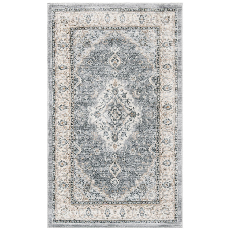 Delmer Performance Oriental Rug