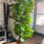Customer photo 5 of 6