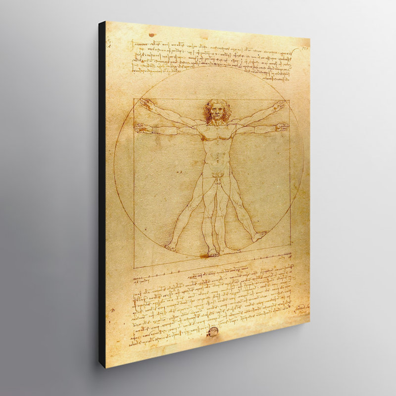 Vitruvian Man by Leonardo Da Vinci - Wrapped Canvas Print, 31cm H x 21cm W x 4cm D
