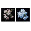 White Apple Blossom Monochromatic Elegance - Apple Blossom Square Collage Set Of 2-446105068-446105069