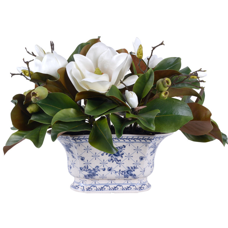 Magnolia In Chinoiserie Pot
