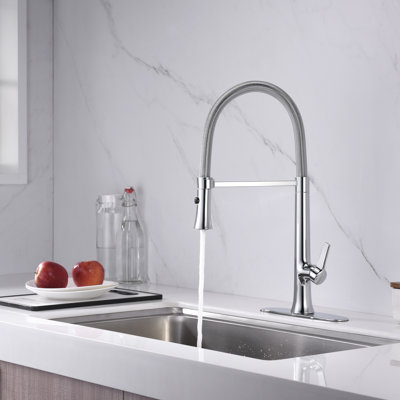 Nita Collection High-Arc Single Handle Kitchen/Bar Faucet with 2-Function Pull-Out Spring Spout Sprayer - Chrome Polished