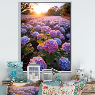 " Purple Blue Blooms Of Hydrangea "