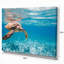 Paysage, grande tortue de mer, photographie sur toile - tortue de mer Hawksbill-34273895-34273800