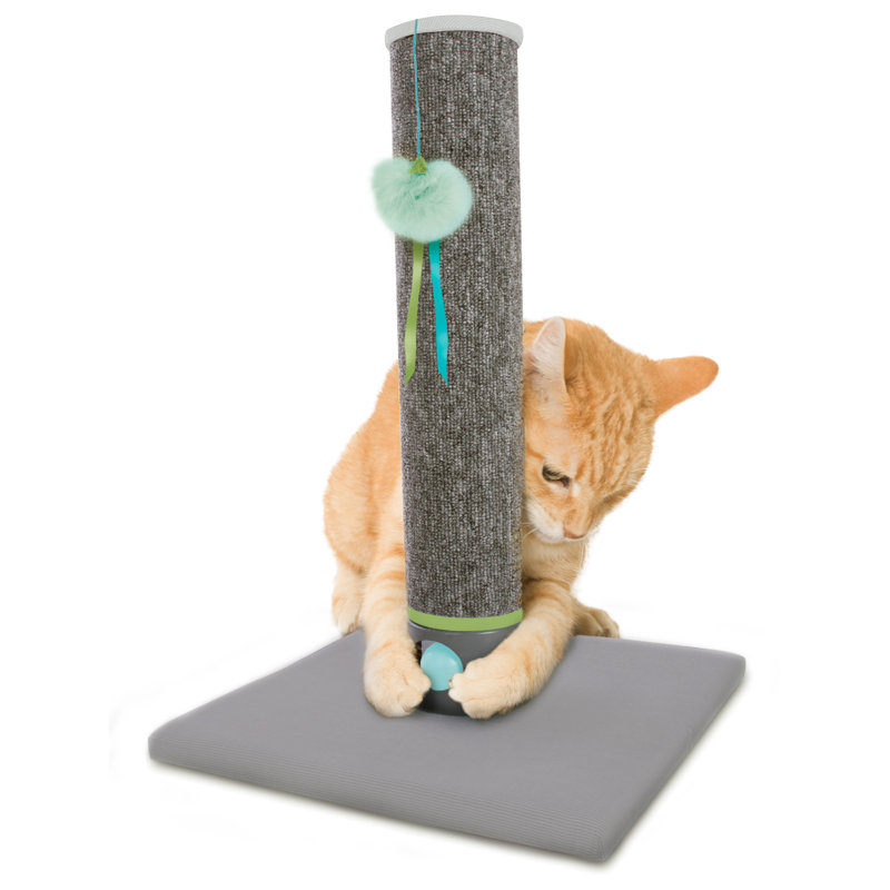 Scratching Post