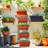 Ninos Vertical Garden-43188313-43188312