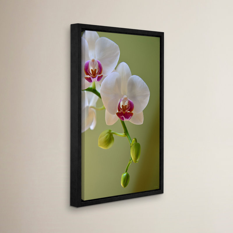 Orchidée délicat, reproduction de photo encadrée, H 48 po x l 32 po x P 2 po