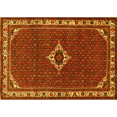 Oriental Indoor Rug