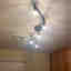 Photos des clients 1 de 2