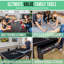 Table de ping-pong et de table de billard avec 2 bancs GoSports 7 pi 3 en 1, chêne foncé-114219511
