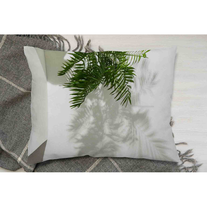 Cushion