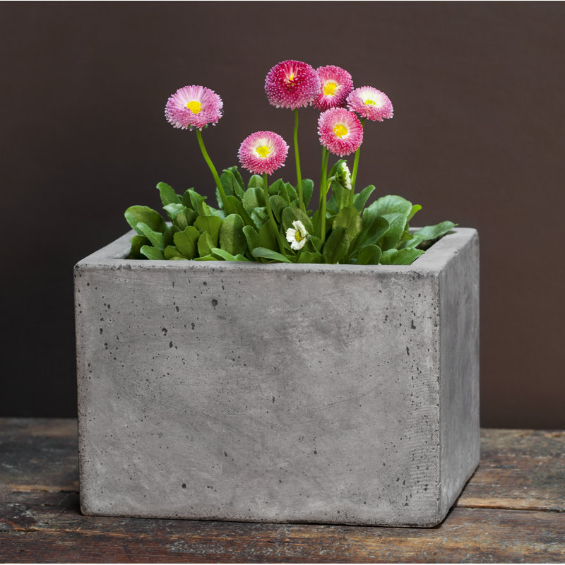 Boîte à fleurs en béton