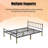 Metal Bed