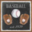 Freedom Baseball Collection - Single Picture Frame Print-37753683