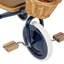 Banwood Trike Navy Blue