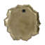 Plaque murale succulente D10x1,4 "
