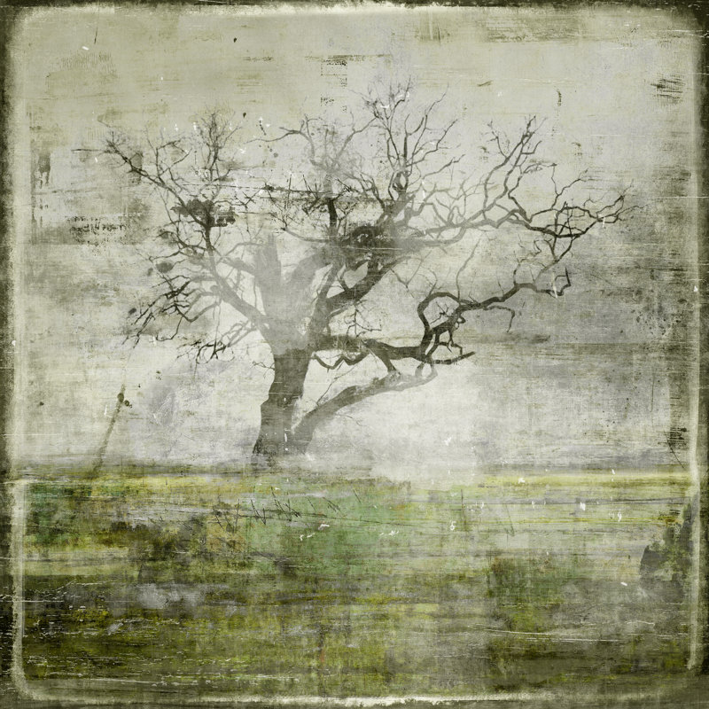 Early Winter III Print, Outdoor, 24" H x 24" W