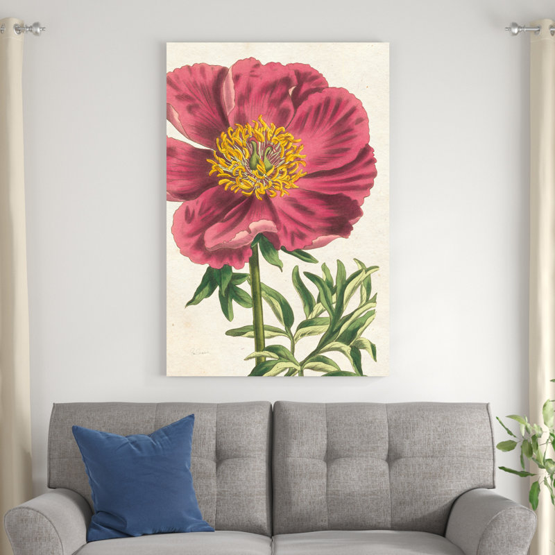 Pivoine botanique sans mots, H 48 po x l 32 po x P 1,25 po