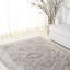 Oriental Area Rug in Grey / Dark Grey-1996215271